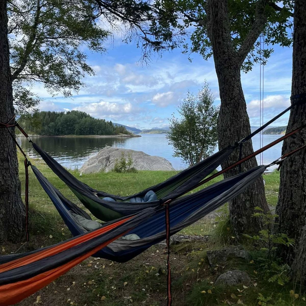Hengekøyer mellom trærne ved fjorden